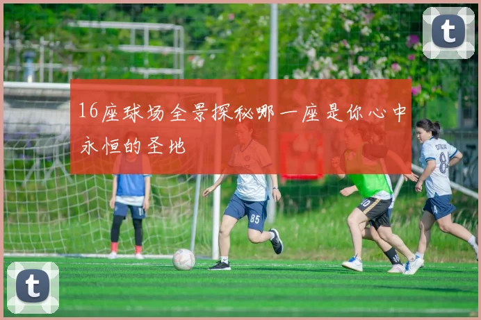 16座球场全景探秘哪一座是你心中永恒的圣地