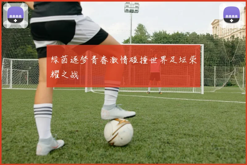 绿茵逐梦青春激情碰撞世界足坛荣耀之战