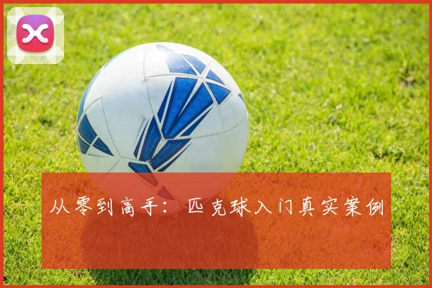 从零到高手：匹克球入门真实案例
